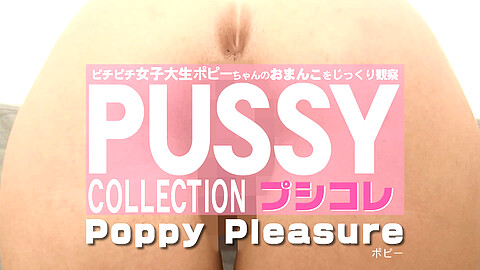 Poppy Pleasure 女子大生 kin8tengoku ポピー・プレシュア