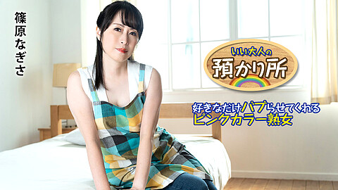 Nagisa Shinohara VIP会員限定作品 caribbeancom 篠原なぎさ