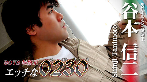Shinji Tanimoto Plump h0230 谷本信二