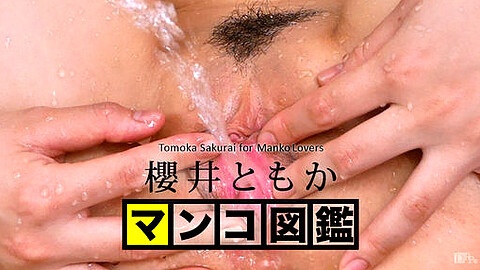 Tomoka Sakurai マン汁 heydouga 櫻井ともか